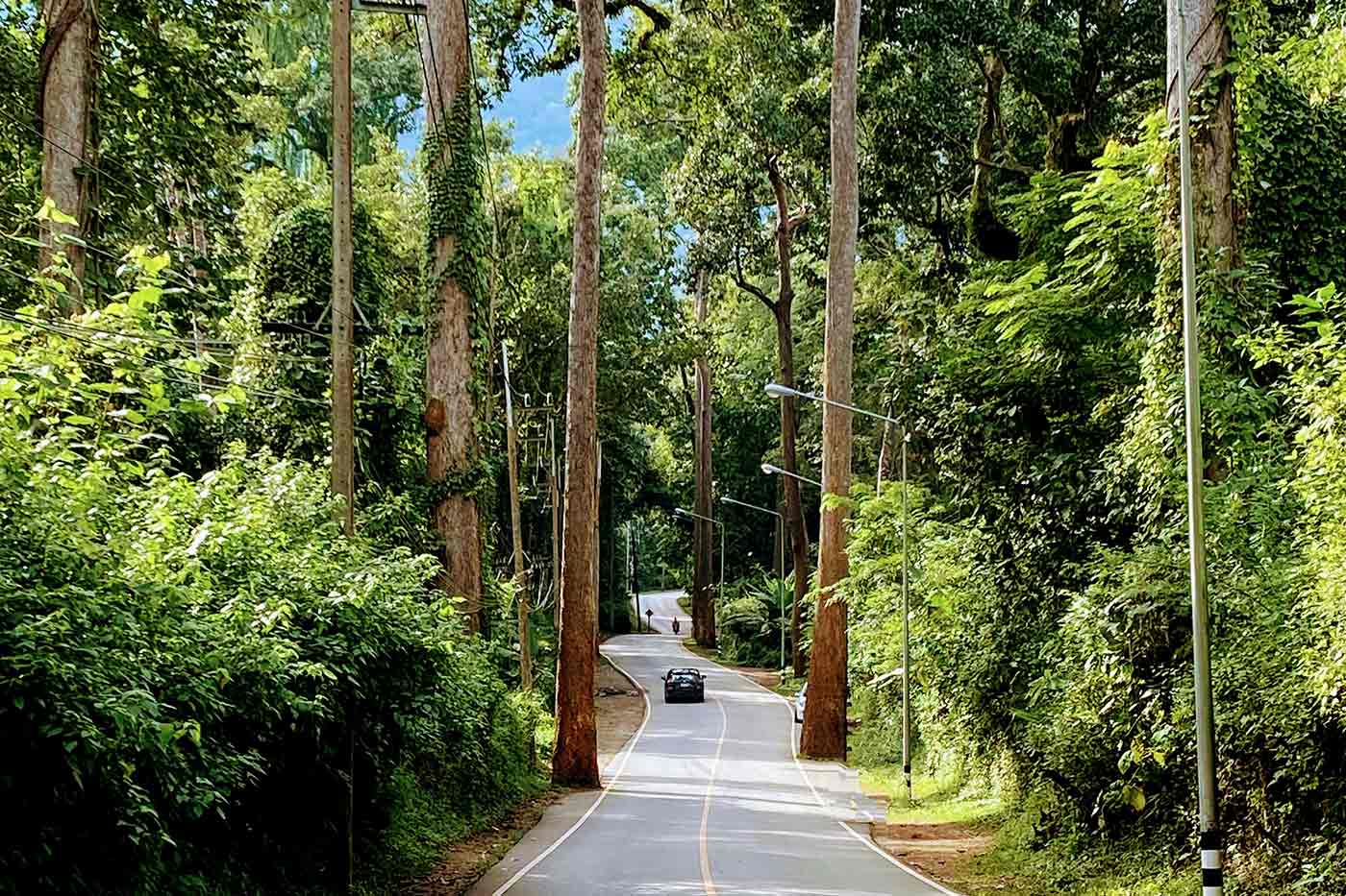 Chiang Dao Thaïlande