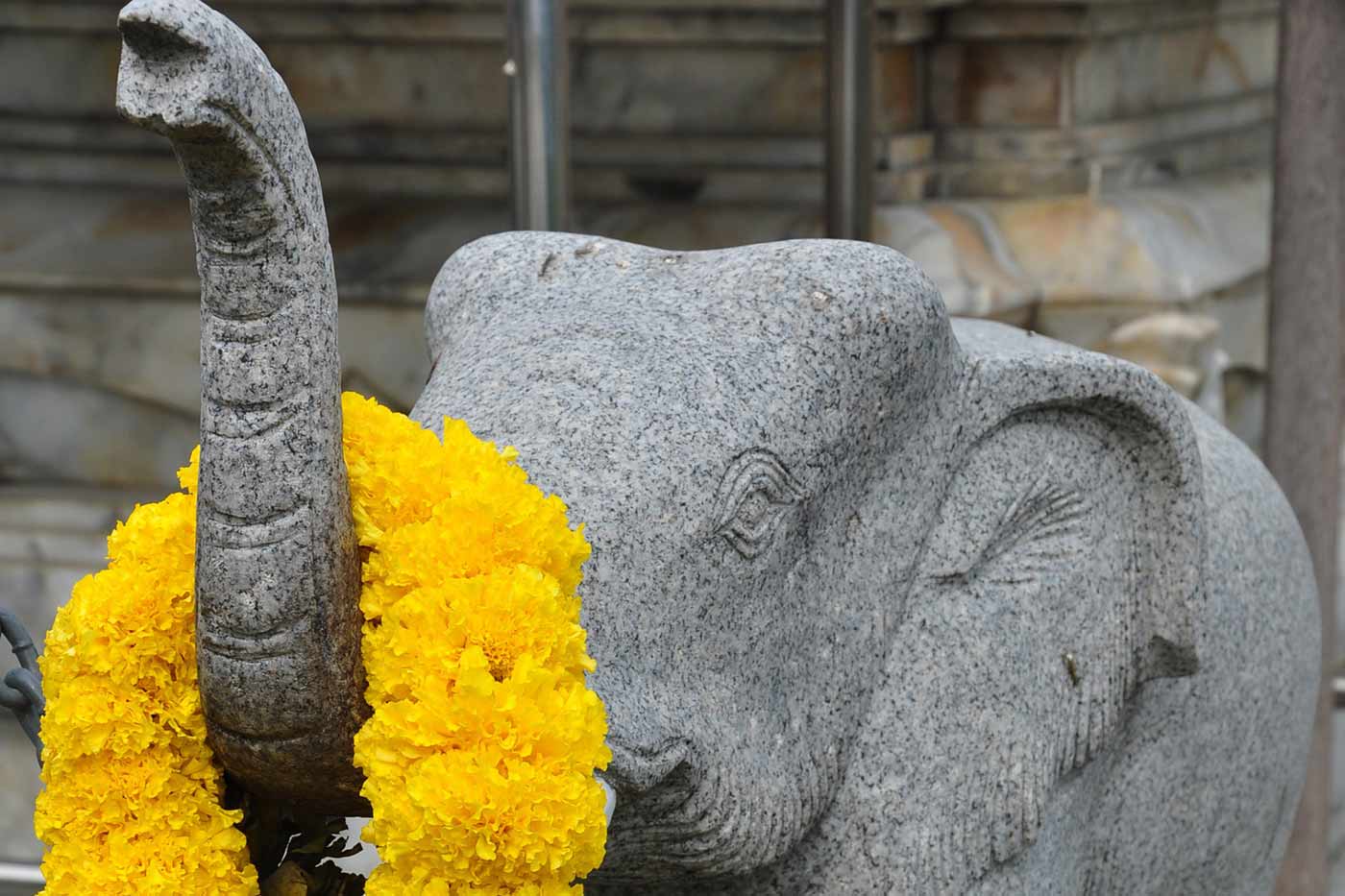 éléphant symbole thaïlande