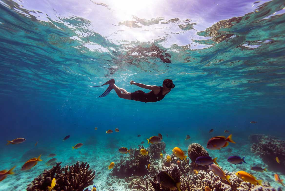 plongée golfe Thaïlande