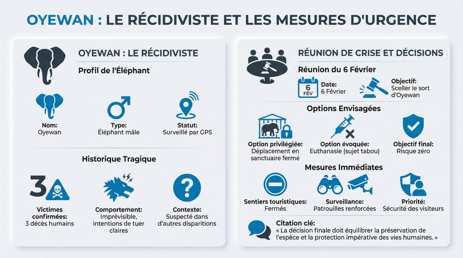 Éléphant sauvage Oyewan dans le parc national de Khao Yai sous surveillance