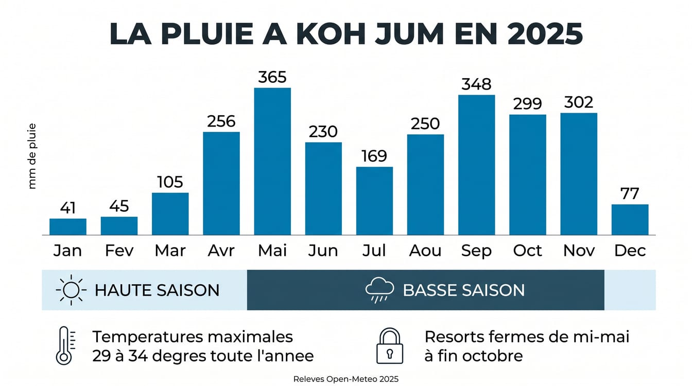 Pluie et affluence mois par mois à Koh Jum