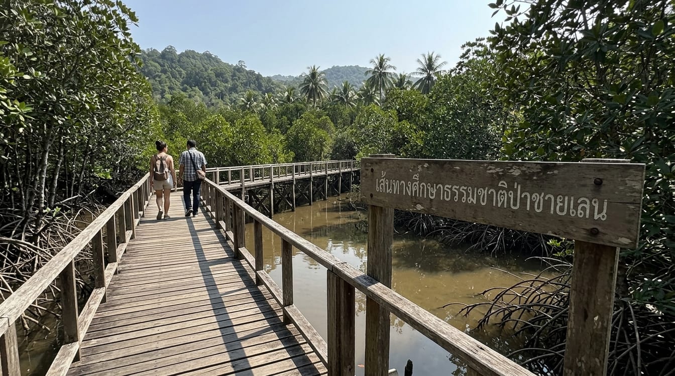 Ruelle de la vieille ville de Rayong, maisons de bois et volets ouverts
